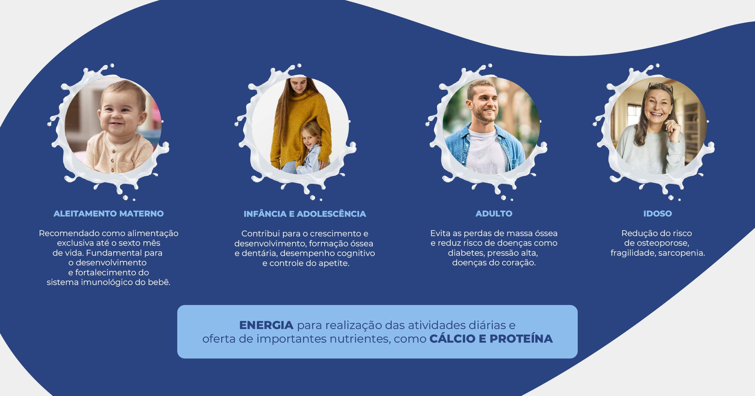 imagem blog 01 leite em todas as fases da vida