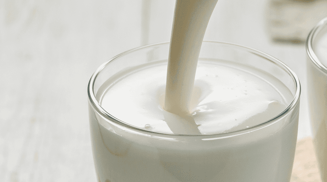 A diferença entre leite integral, semidesnatado e desnatado