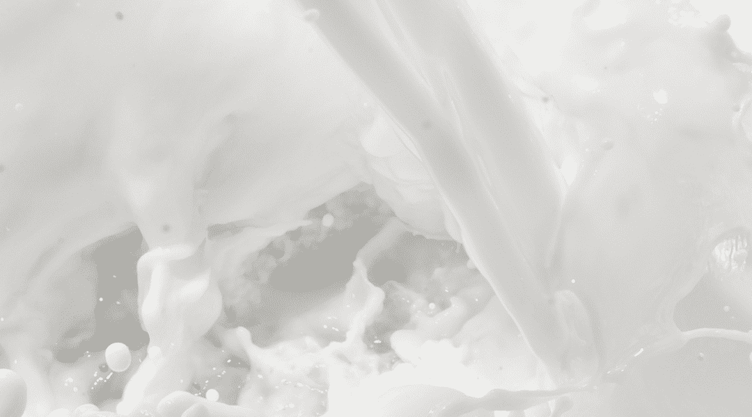 Leite sem lactose, enriquecido, aromatizado, A2